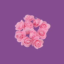 Pink Rose Flower Explosion - Goldelucks Same Day Gift Delivery