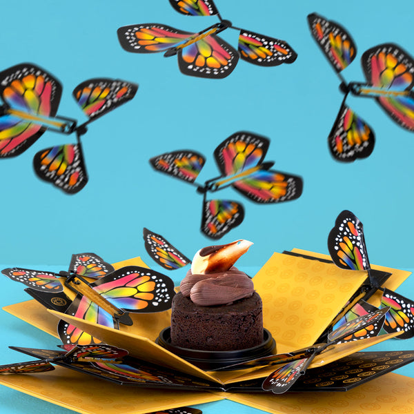 Cake Explosion Box with Flying Butterflies Gift – Goldelucks