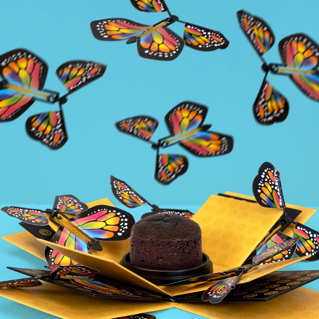 Cake Explosion Box with Flying Butterflies Gift – Goldelucks