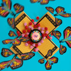 You Give Me Butterflies Cake Butterfly Box