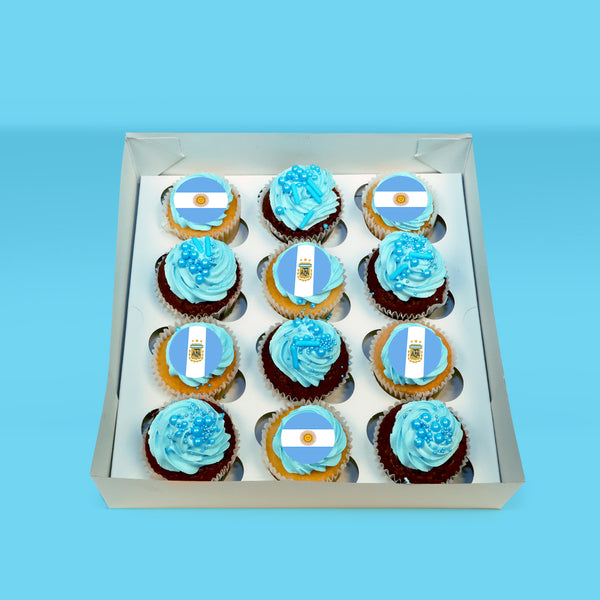 Argentina FIFA World Cup Cupcakes